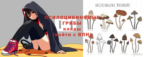 трава Абаза