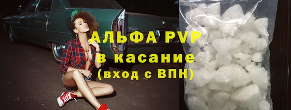 сатива Абинск