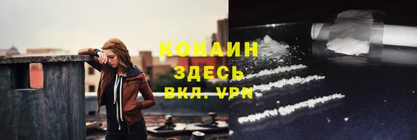 твердый Алексин