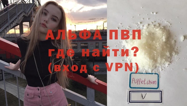 сатива Абинск