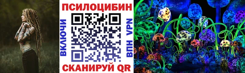 Псилоцибиновые грибы Psilocybe  продажа наркотиков  Тобольск 