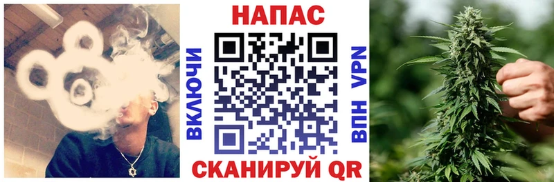 Бошки марихуана конопля  Тобольск 